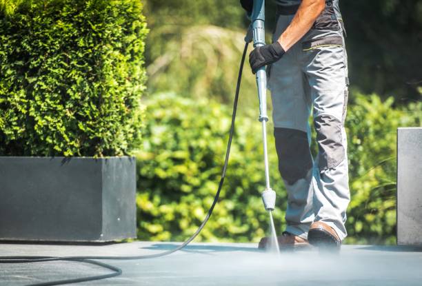 Best Residential Exterior Washing  in Williams, AZ
