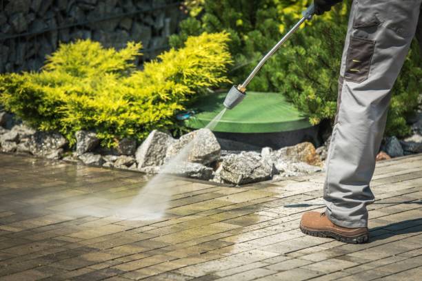 Boat and Dock Cleaning in Williams, AZ