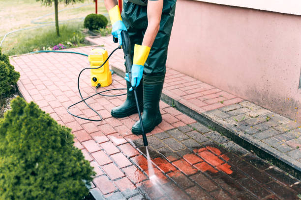 Best Sidewalk and Walkway Cleaning  in Williams, AZ