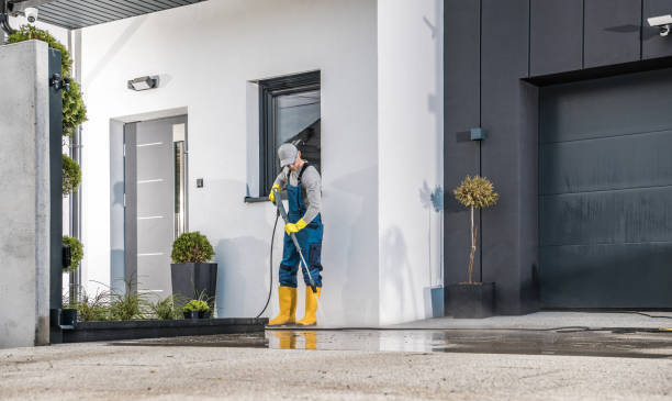 Best Animal Enclosure Cleaning  in Williams, AZ